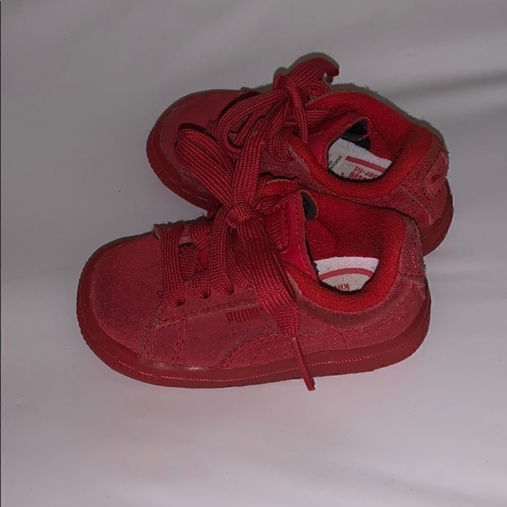 Puma   